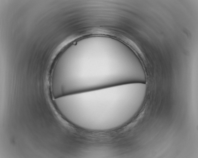 X0000115691133200911121002