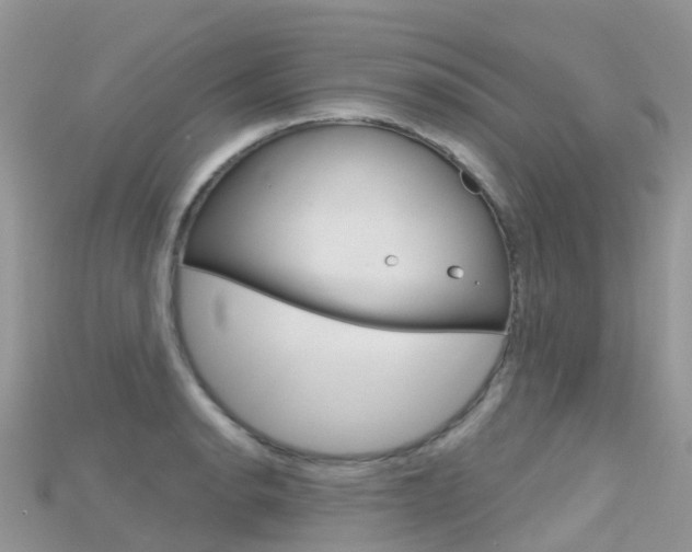 X0000115691134200911121002