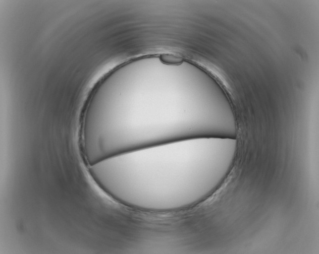 X0000115691135200911121002