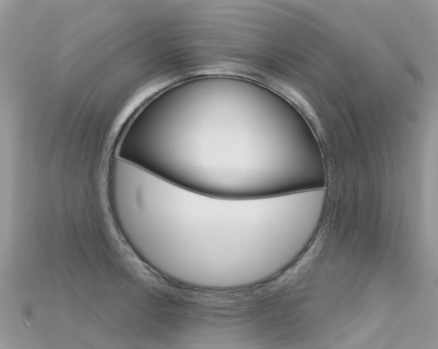 X0000115691138200911121002