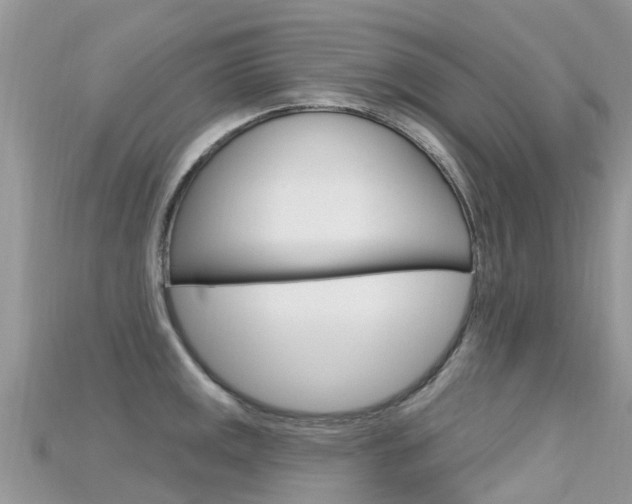 X0000115691141200911121002
