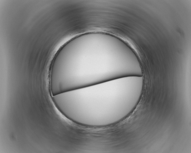 X0000115691143200911121002