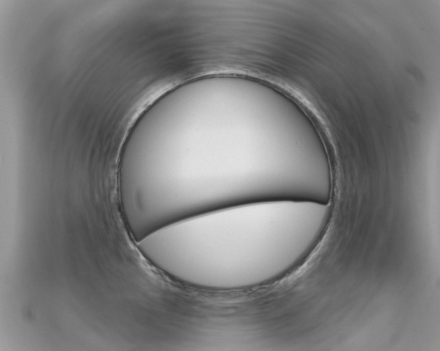 X0000115691145200911121002
