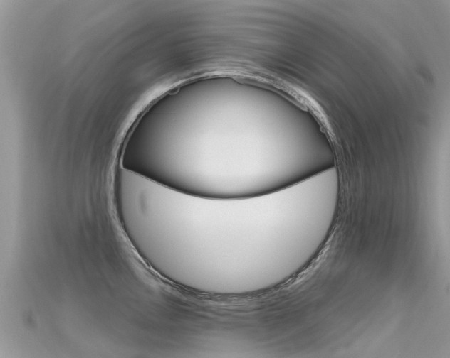X0000115691146200911121002