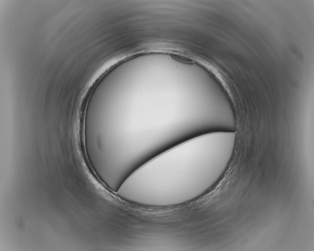 X0000115691147200911121002