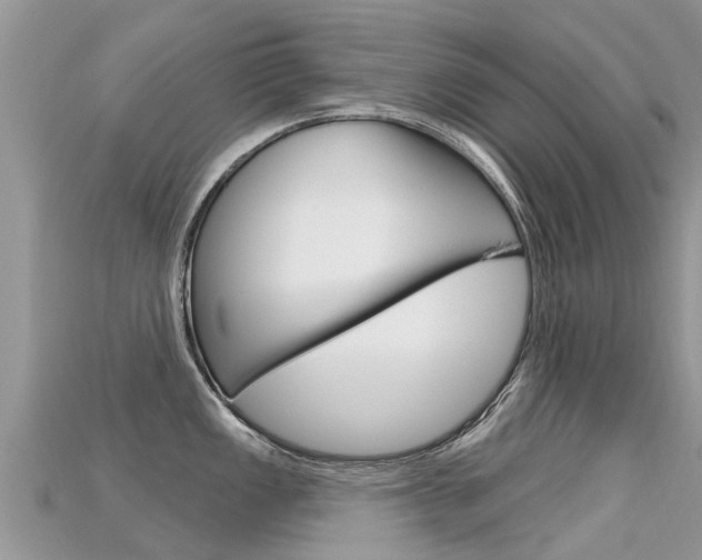 X0000115691149200911121002