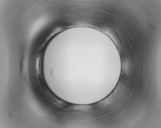 X0000115691150200911121002