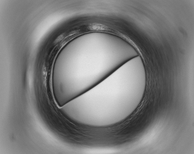 X0000115691151200911121002