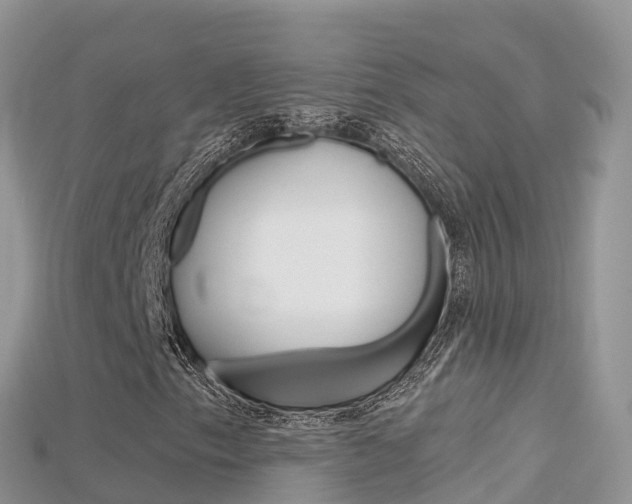 X0000115691153200911121002