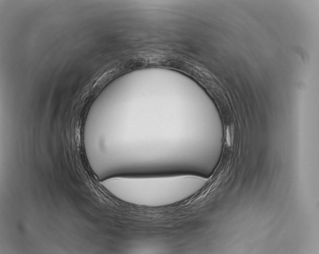 X0000115691155200911121002
