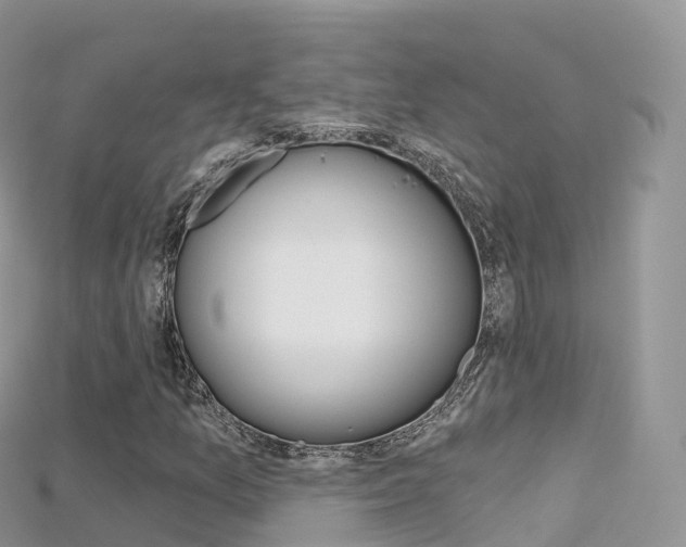 X0000115691157200911121002