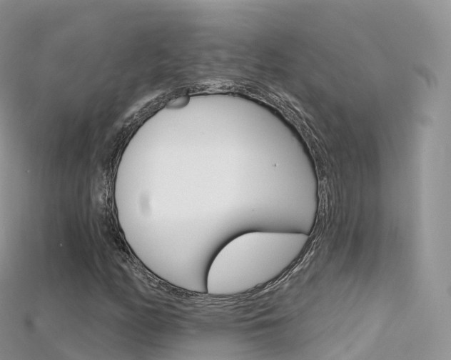 X0000115691158200911121002