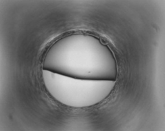 X0000115691159200911121002