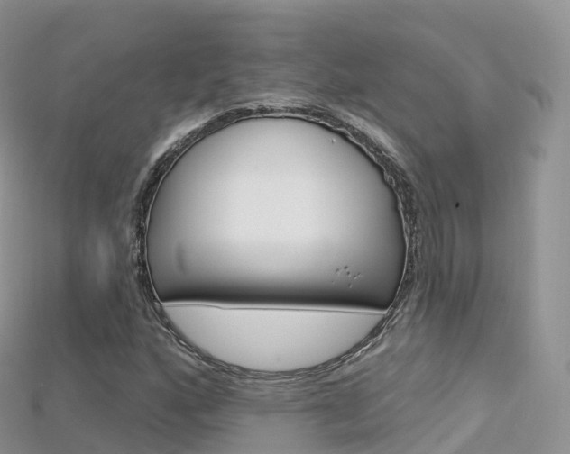 X0000115691160200911121002