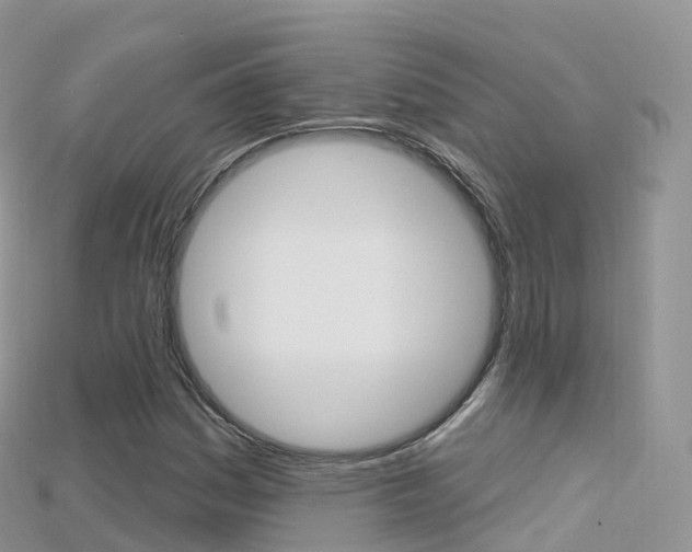X0000115691161200911121002