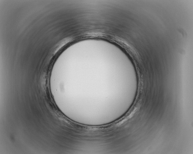 X0000115691162200911121002