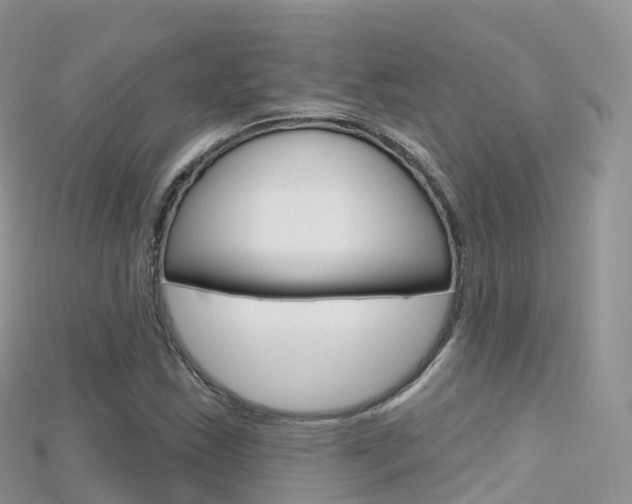 X0000115691163200911121001