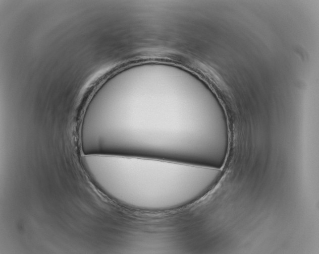 X0000115691164200911121001