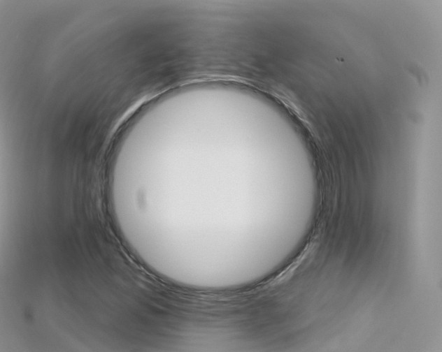 X0000115691165200911121001