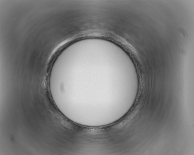 X0000115691166200911121001