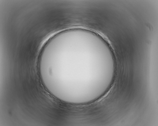X0000115691167200911121001