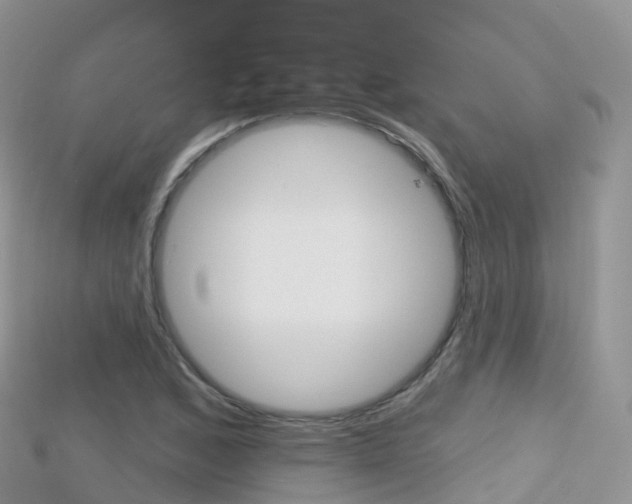 X0000115691168200911121001