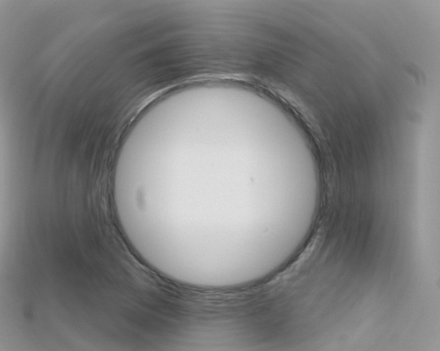 X0000115691169200911121001
