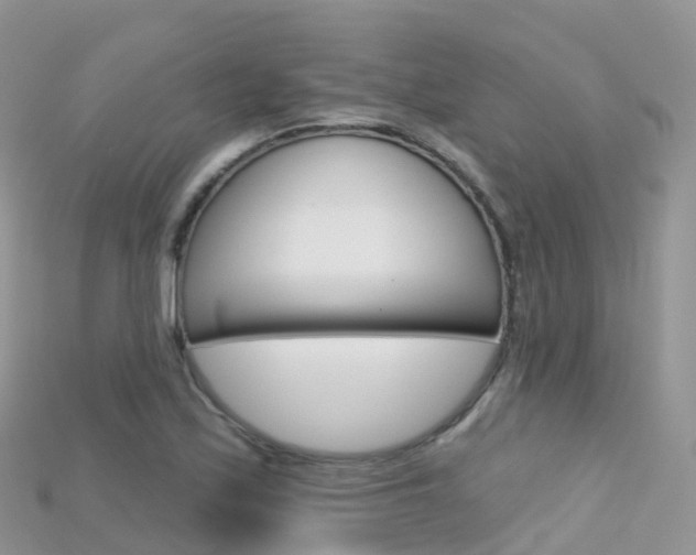 X0000115691171200911121001