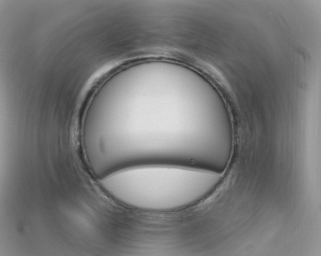X0000115691172200911121001