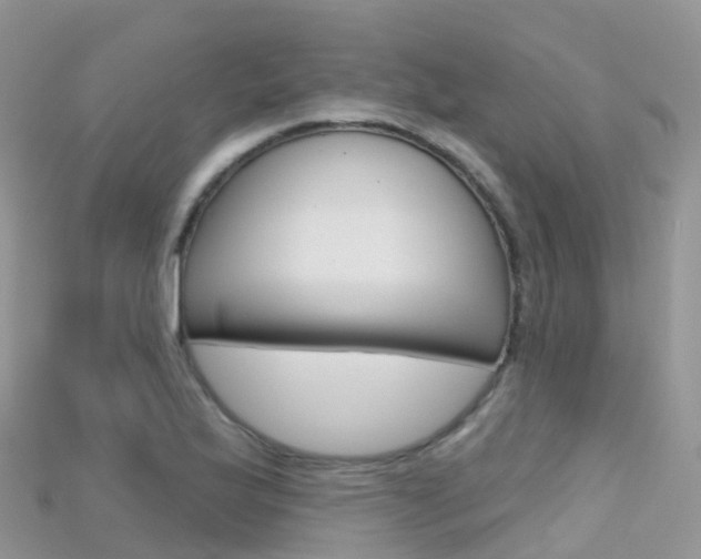 X0000115691175200911121001