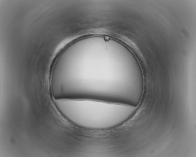 X0000115691176200911121001