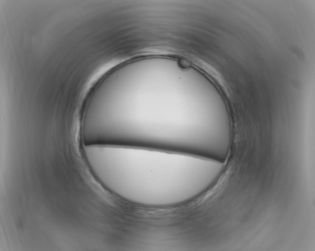 X0000115691179200911121001