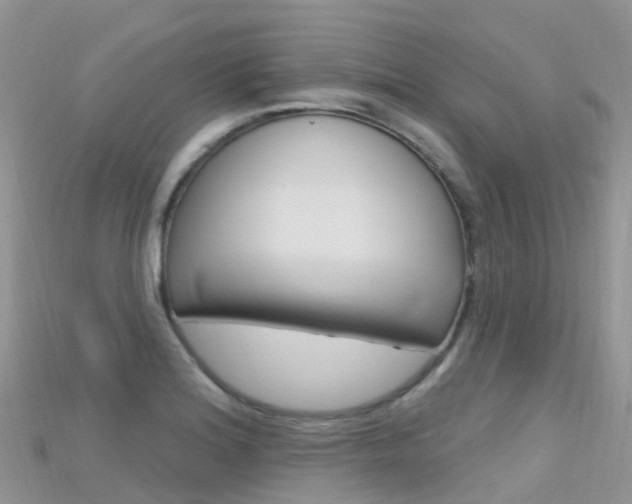 X0000115691180200911121001