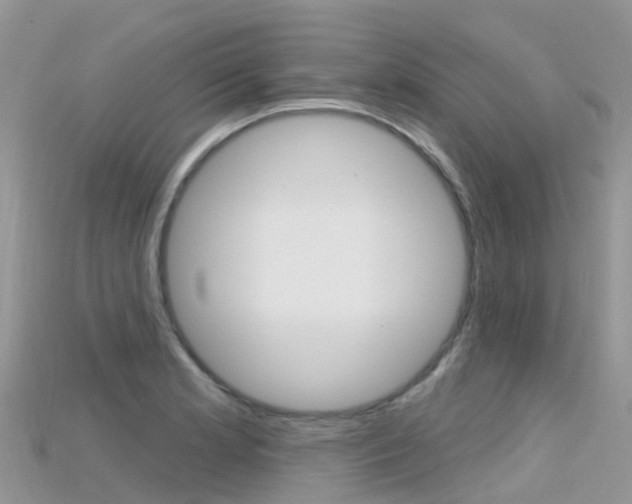 X0000115691181200911121001