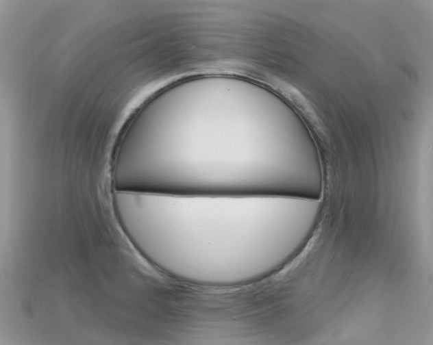 X0000115691184200911121001