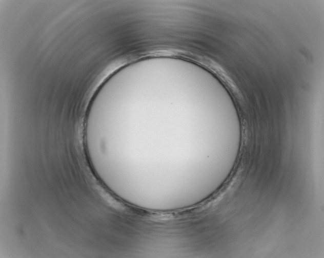 X0000115691186200911121001