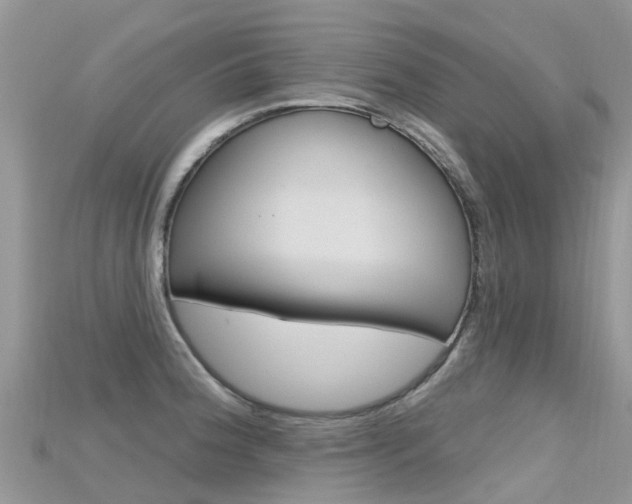 X0000115691188200911121001
