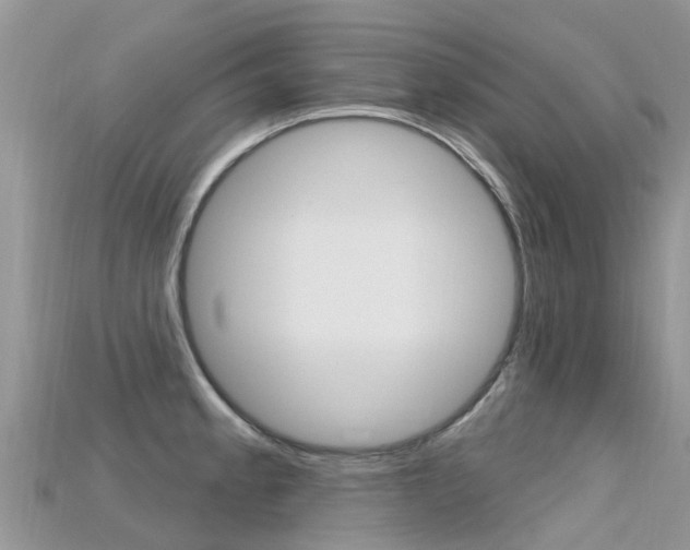 X0000115691189200911121001