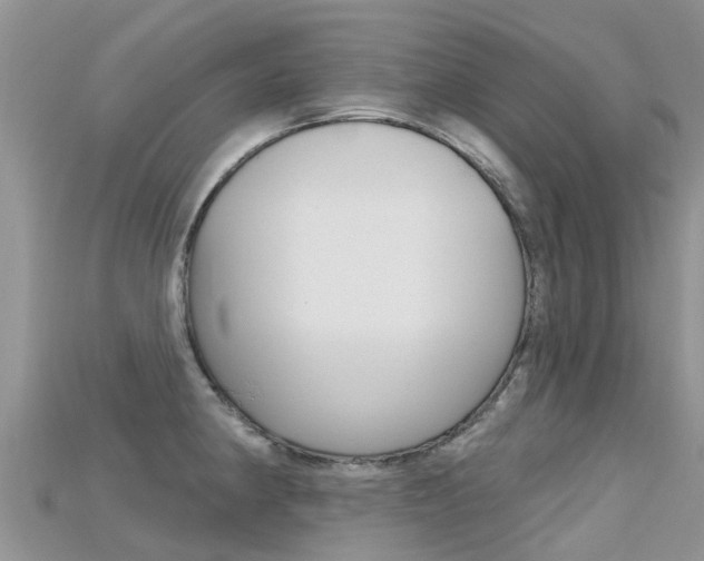 X0000115691190200911121001