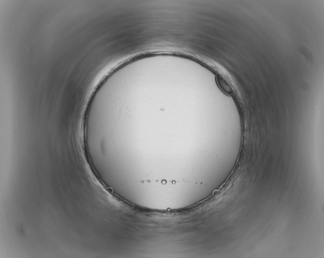 X0000115691191200911121001