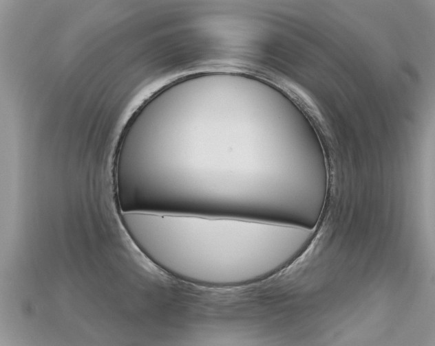 X0000115691192200911121001