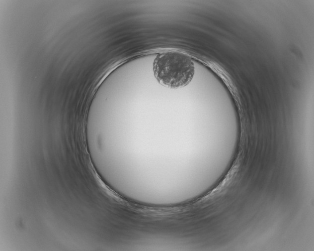 X0000115691193200911121001