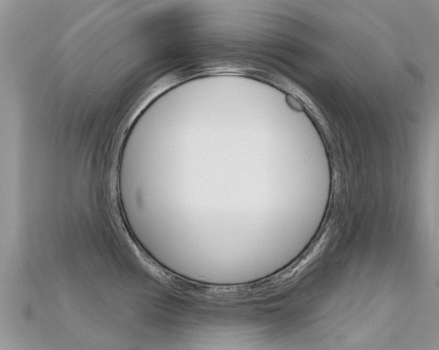 X0000115691194200911121001