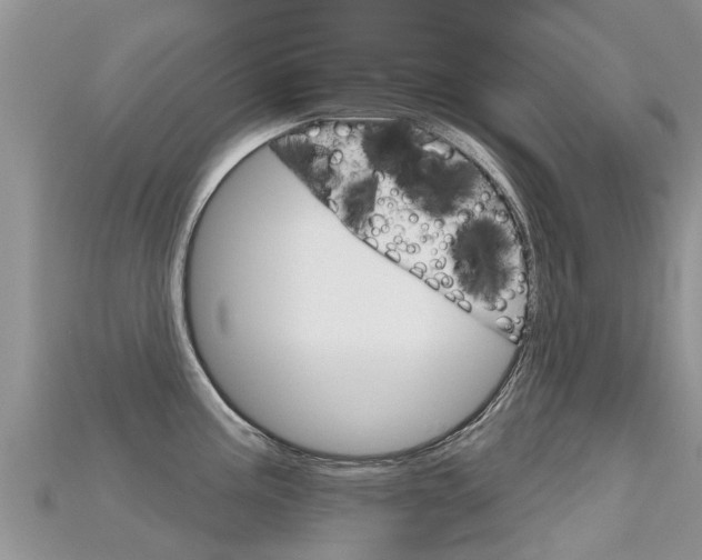 X0000115691195200911121001