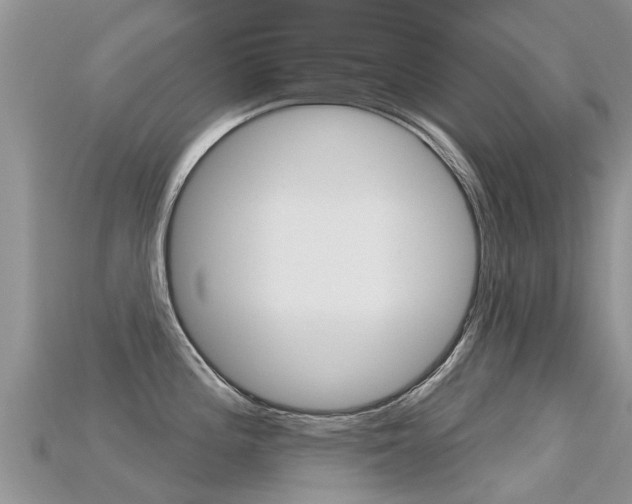 X0000115691196200911121001