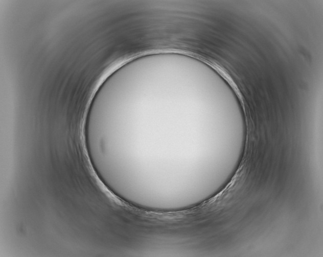 X0000115691197200911121001