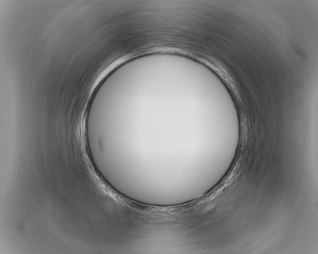 X0000115691198200911121001