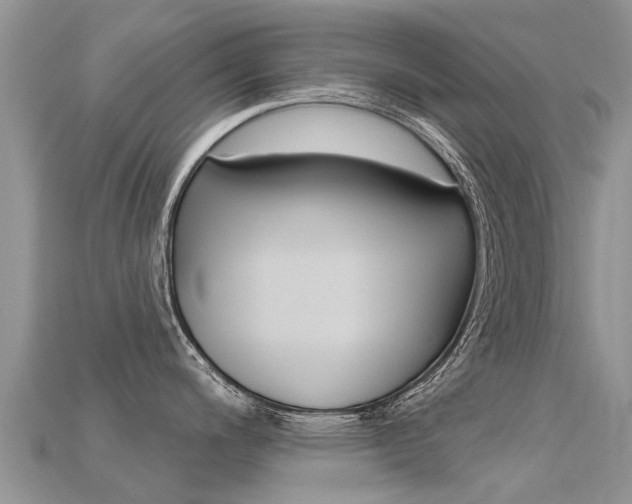 X0000115691200200911121001