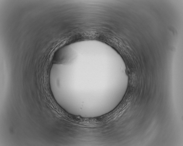 X0000115691201200911121000