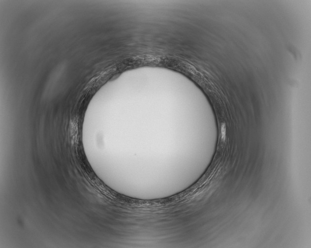 X0000115691203200911121000